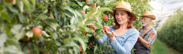 Top tips for comparing LI